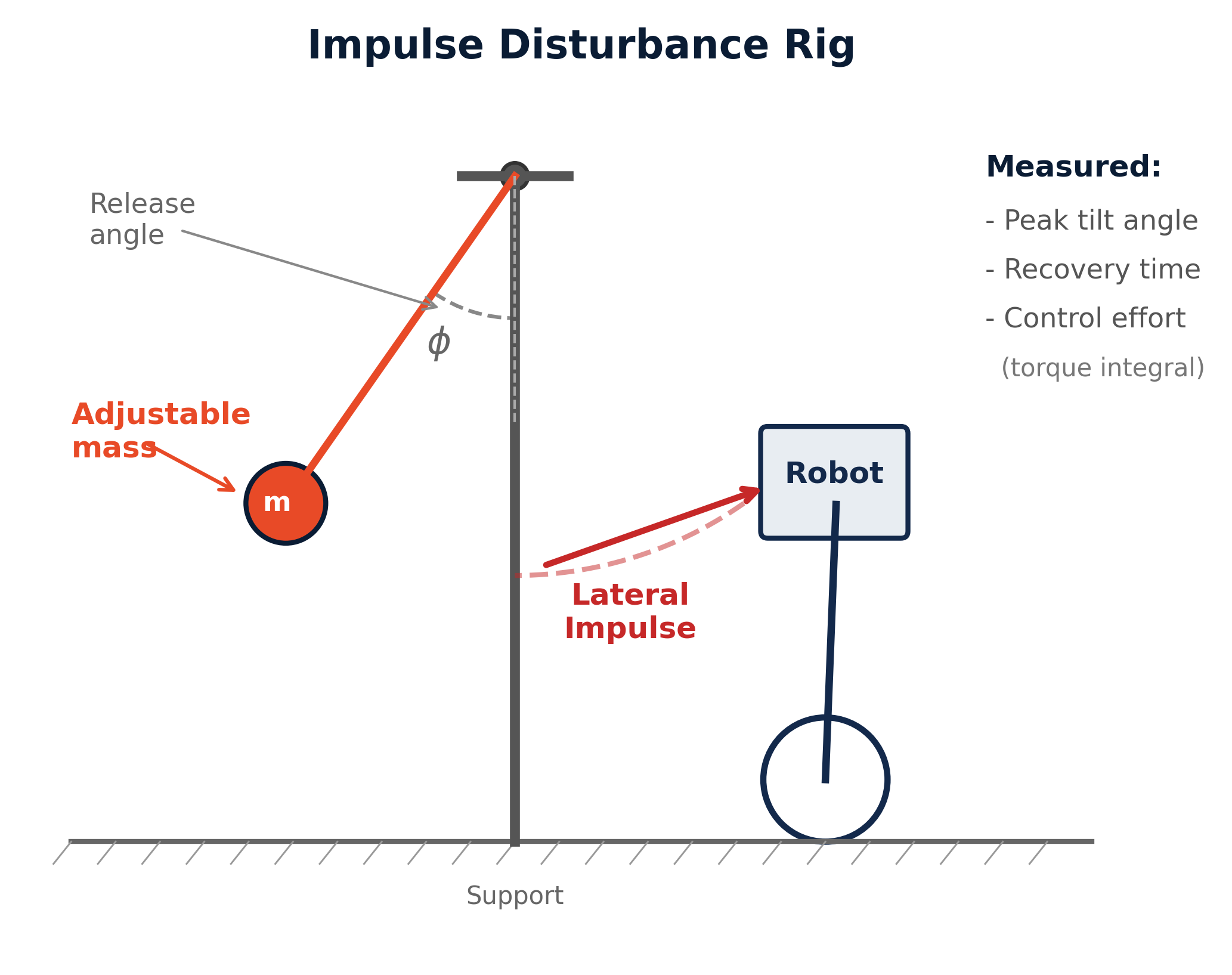 Impulse Disturbance Rig Diagram